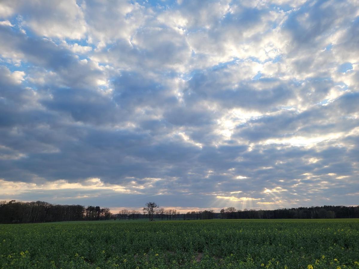 Appartamento Maerchenhaft Urlauben Auf Dem Alpakahof Rambow Esterno foto