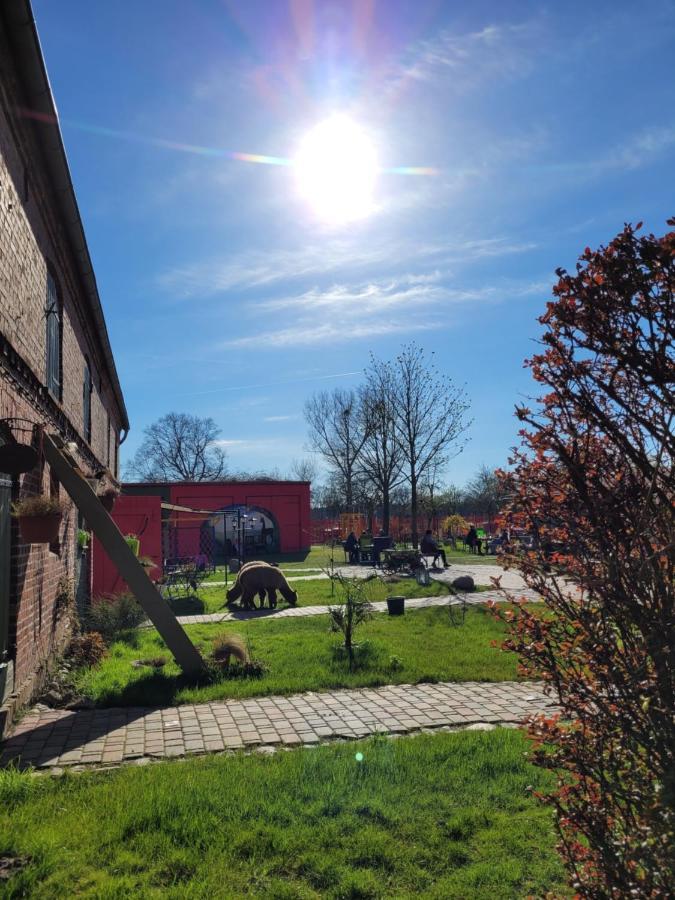 Appartamento Maerchenhaft Urlauben Auf Dem Alpakahof Rambow Esterno foto