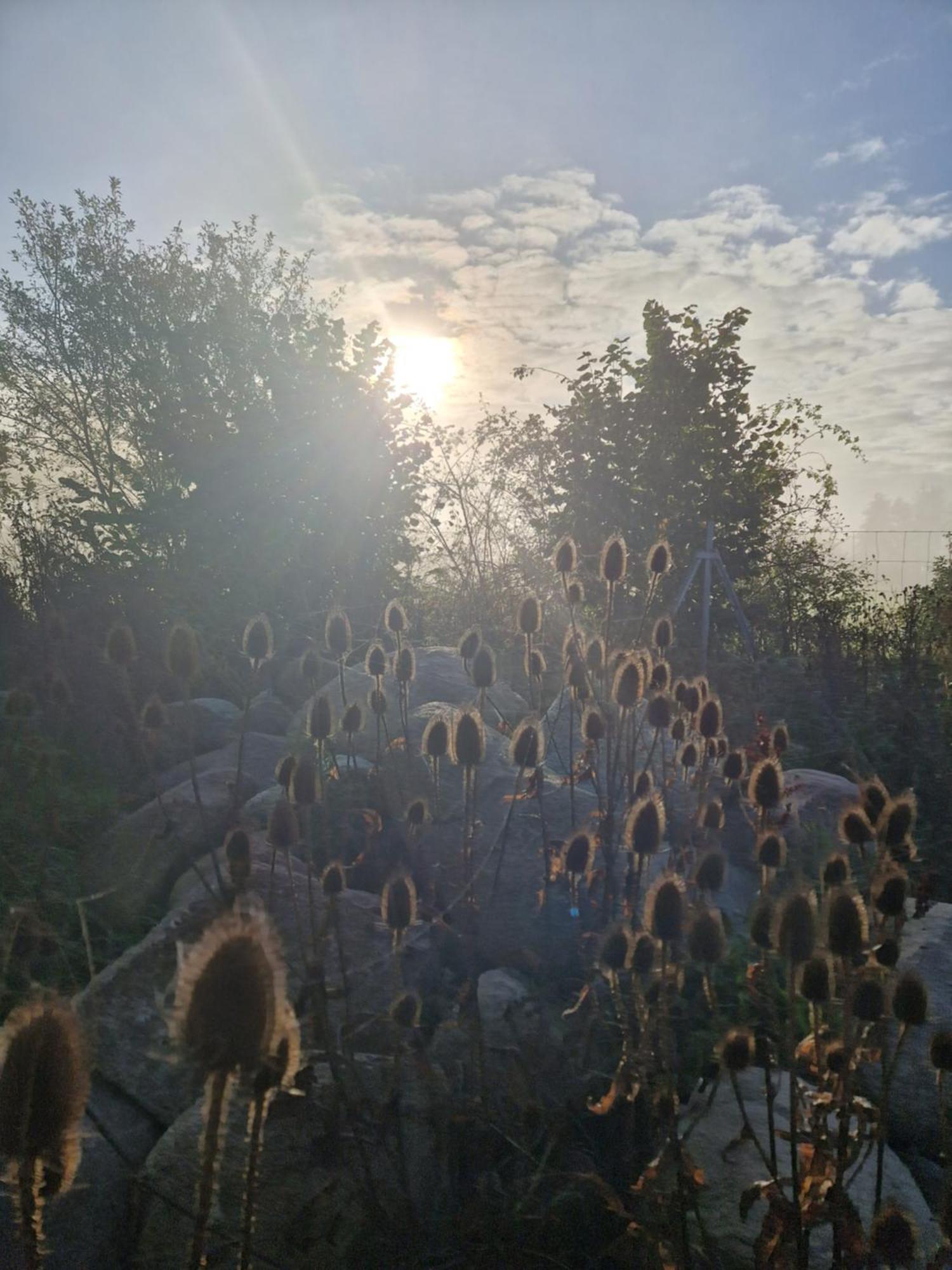 Appartamento Maerchenhaft Urlauben Auf Dem Alpakahof Rambow Esterno foto